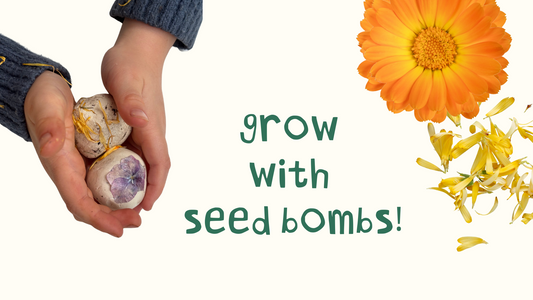 Tutorial: Grow with seed bombs!