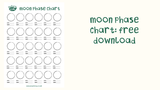 Moon Phase Chart Download