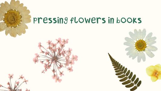 Tutorial: Pressing flowers in books
