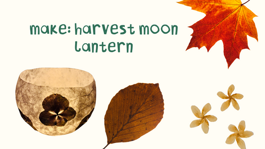 Tutorial: Harvest Moon Lantern