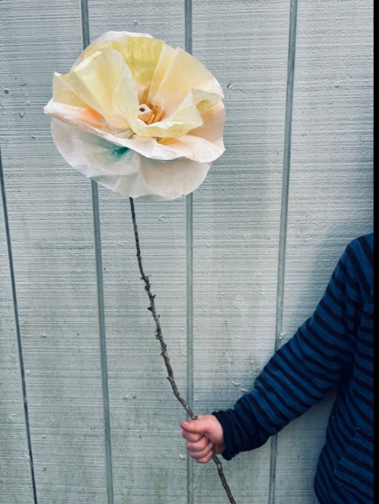 Paper Flower Kit