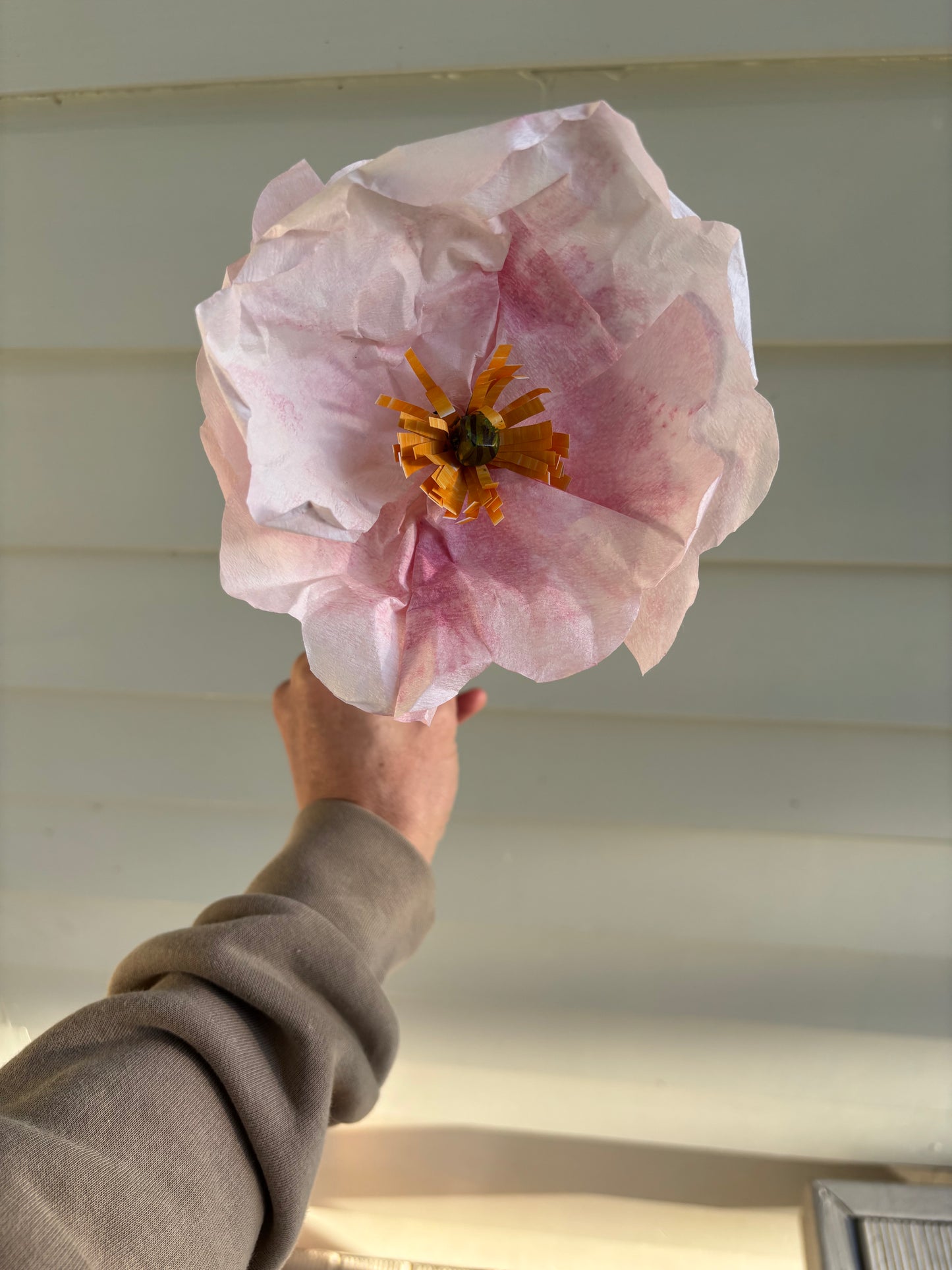 Paper Flower Kit