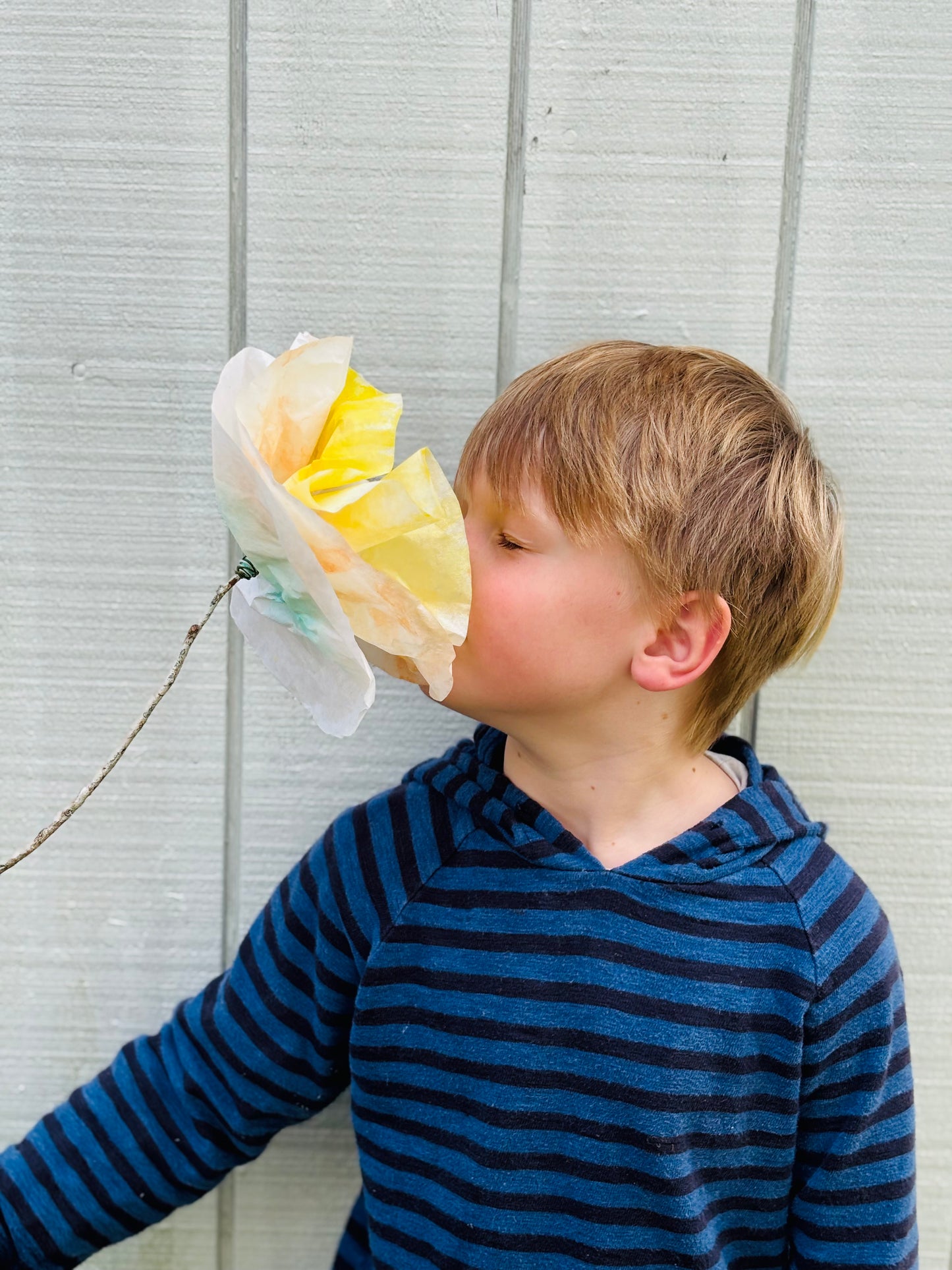 Paper Flower Kit