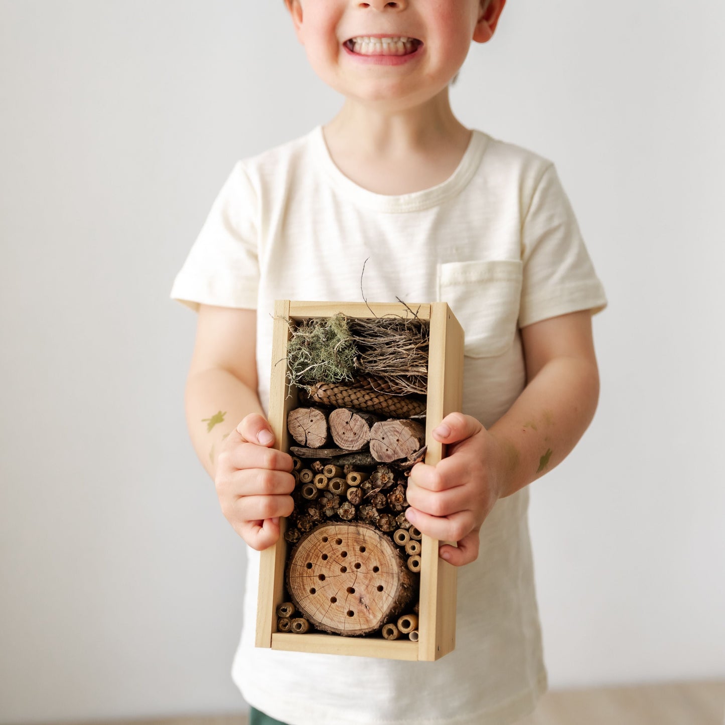 The Bug Hotel