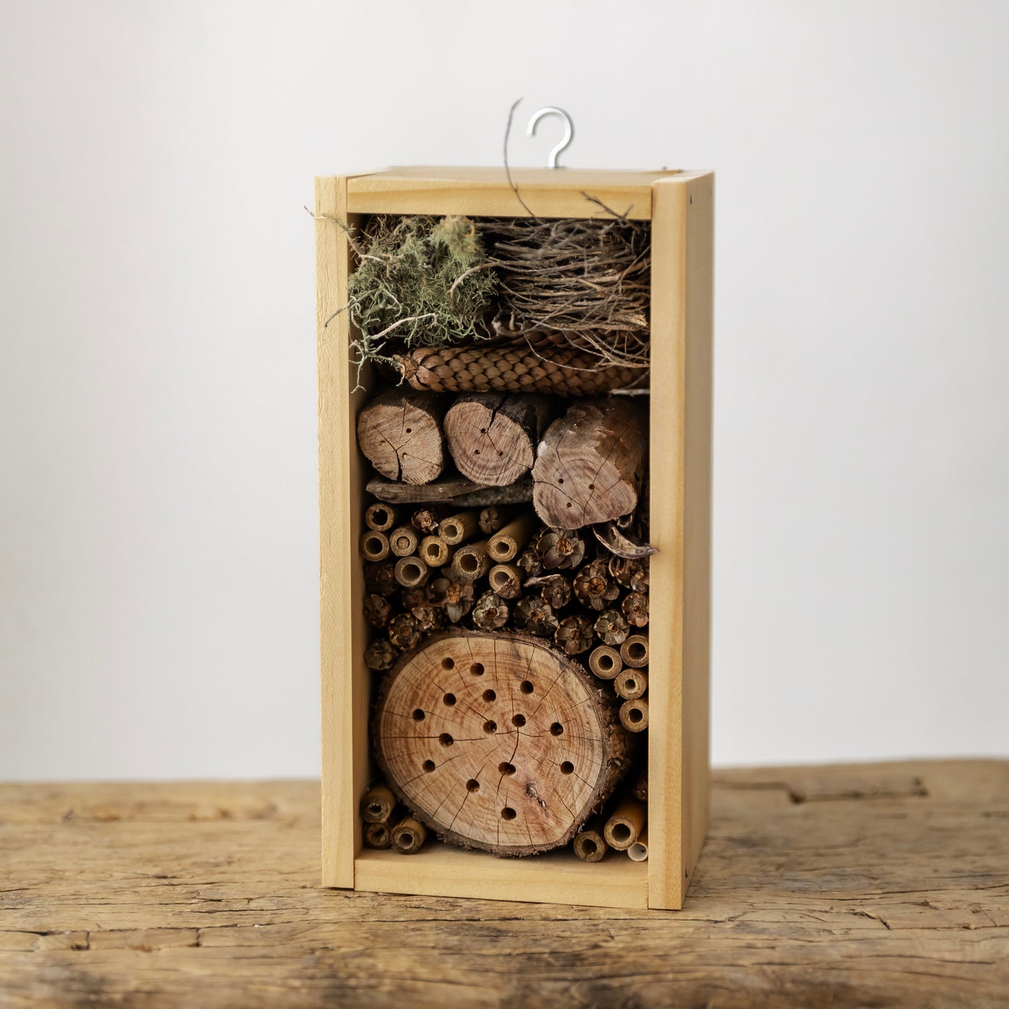 The Bug Hotel