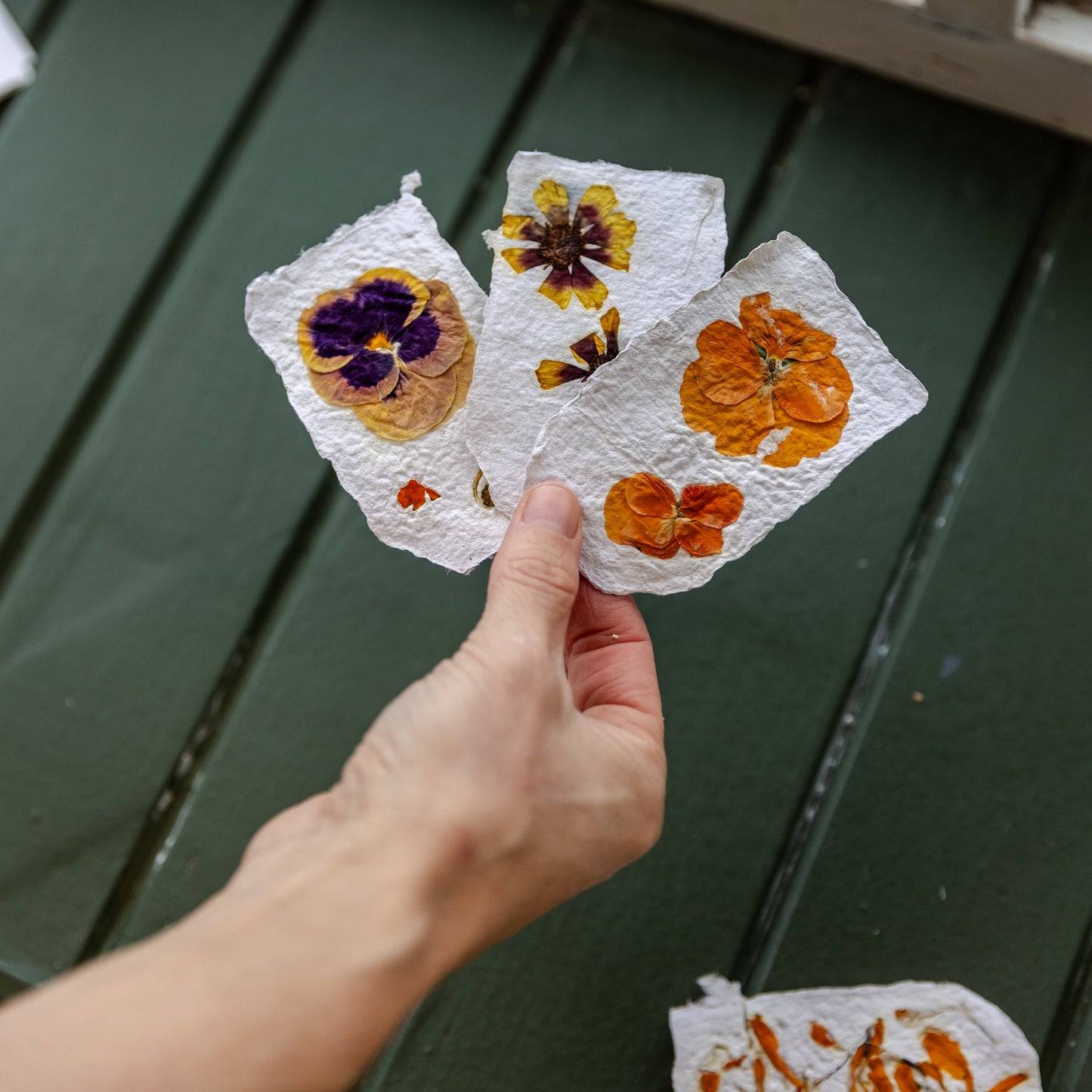 Garden Paper: paper-making course for beginners