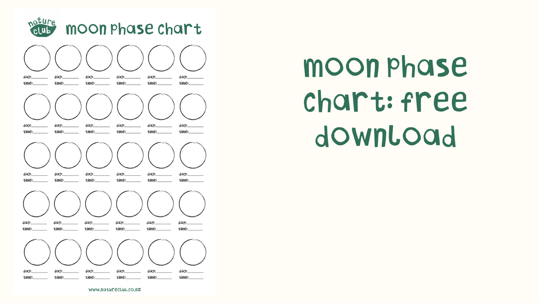 Moon Phase Chart Download