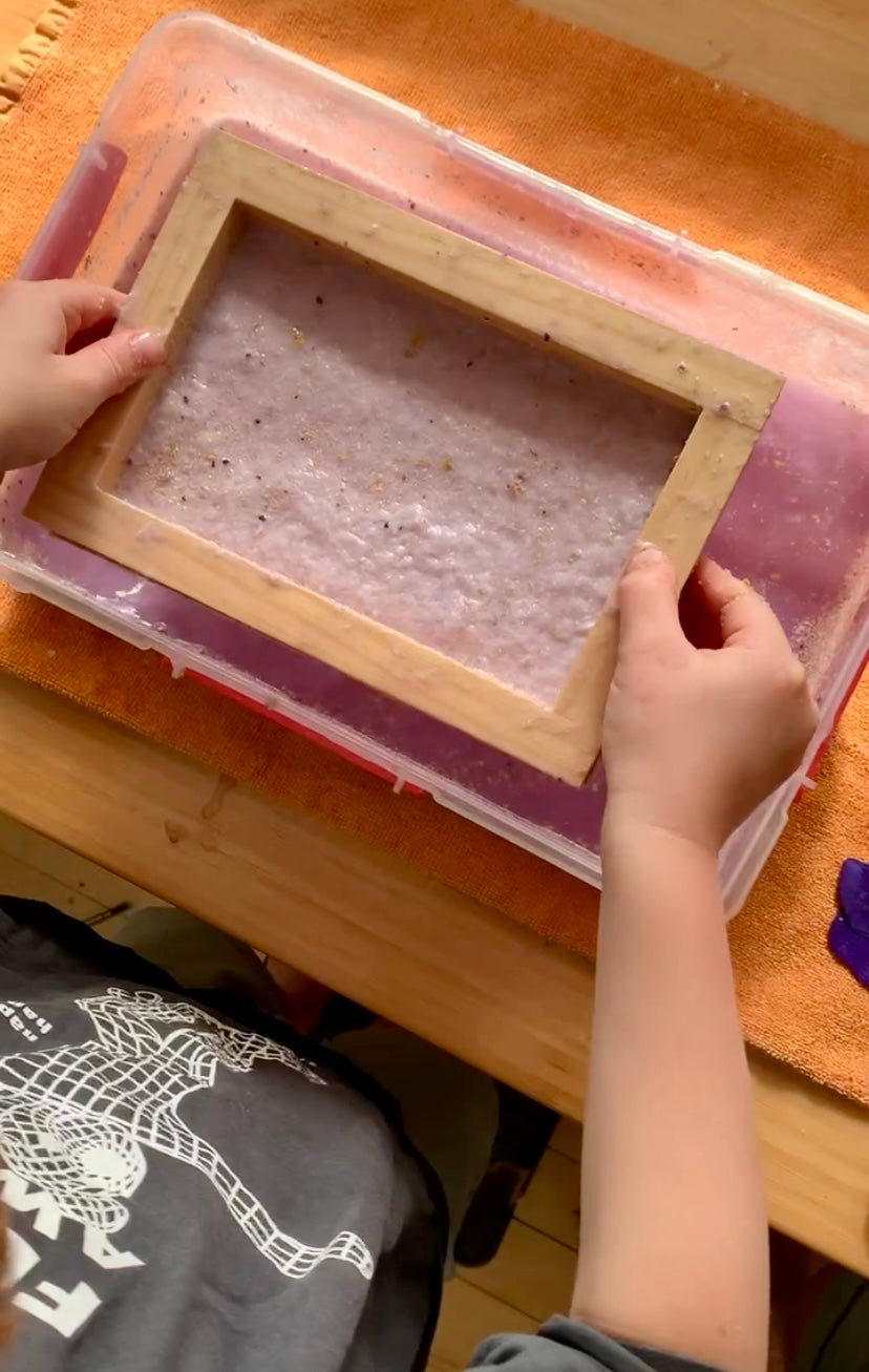 Paper Making Kit Nature Club paper-making-kit-nature-club