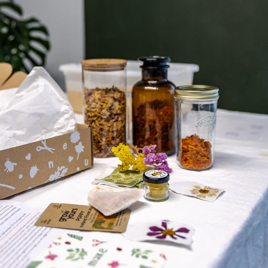 Paper Making Kit